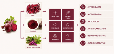 Organic Beet Root Capsules