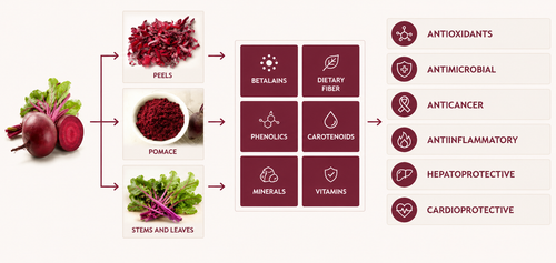 Organic Beet Root Capsules